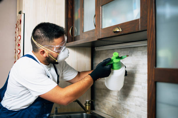 Best Insect Control  in White Island Shores, MA