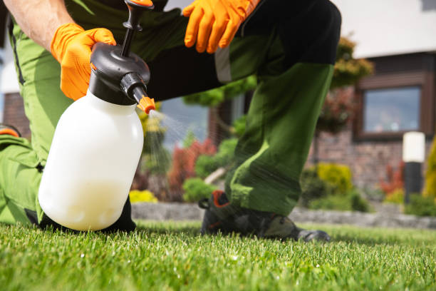 Best Best Pest Control Companies  in White Island Shores, MA
