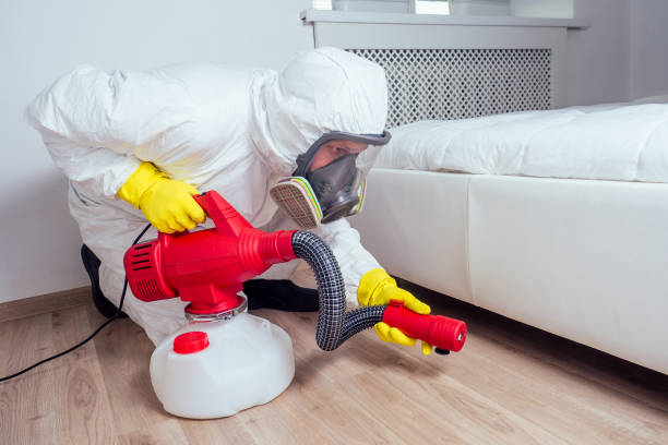 Best Mosquito Control Services  in White Island Shores, MA
