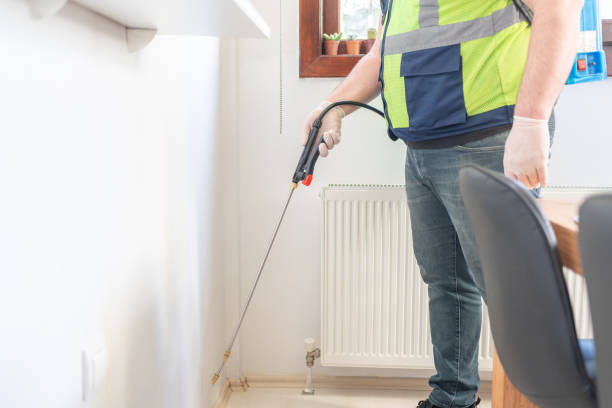 Reliable White Island Shores, MA Pest Control Solutions